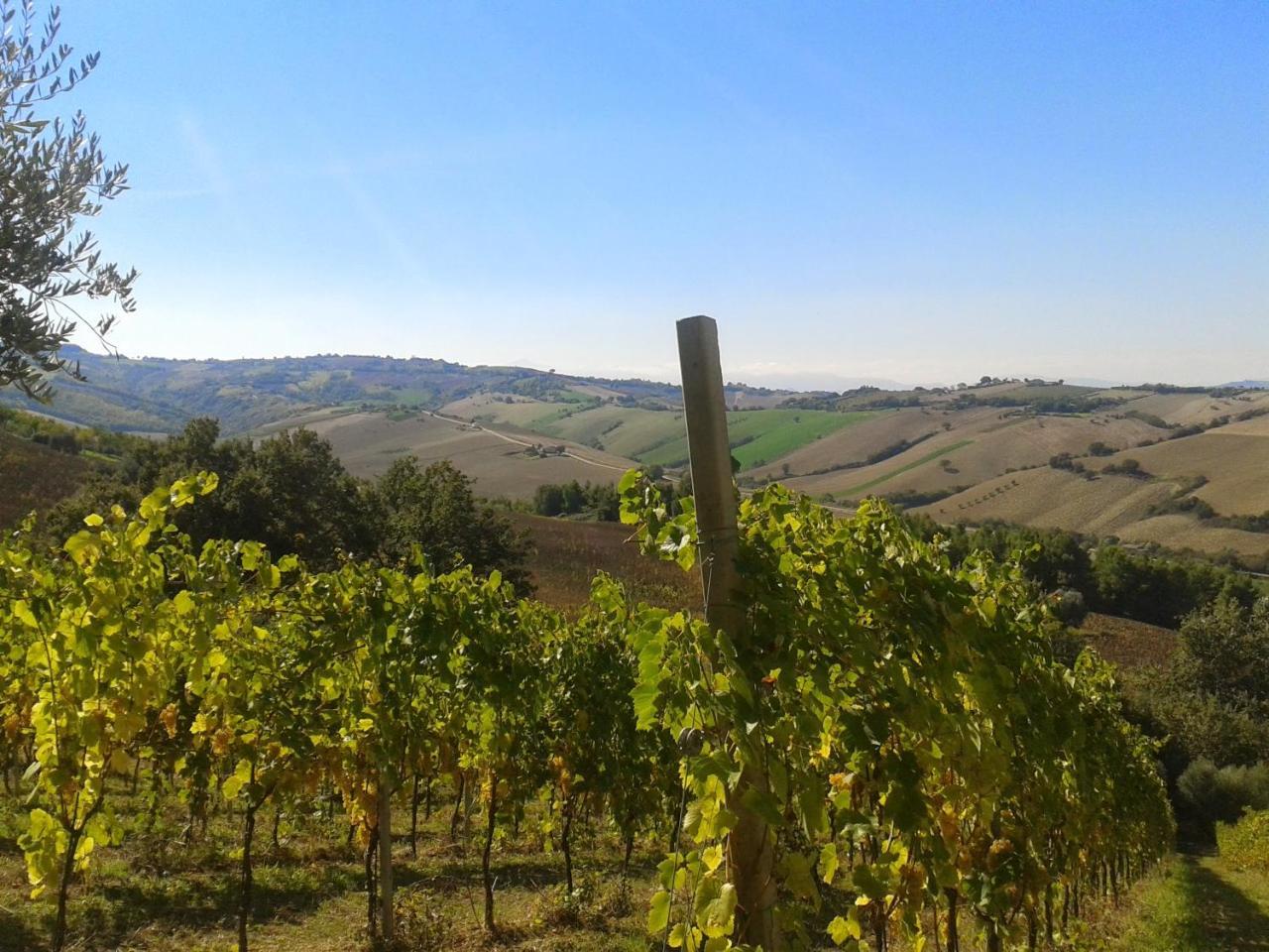 Agriturismo Le Vigne Fermo Exterior foto